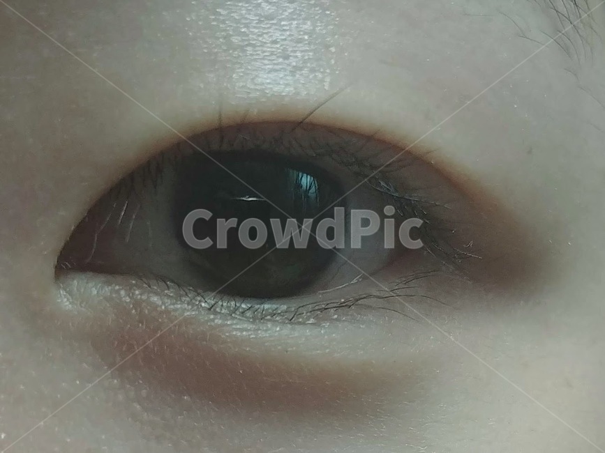 눈,쌍커풀,eye,속눈썹,눈동자,한쪽눈,애교살,몽고주름,사람,인물,인간,human,person,신체일부,몸,body