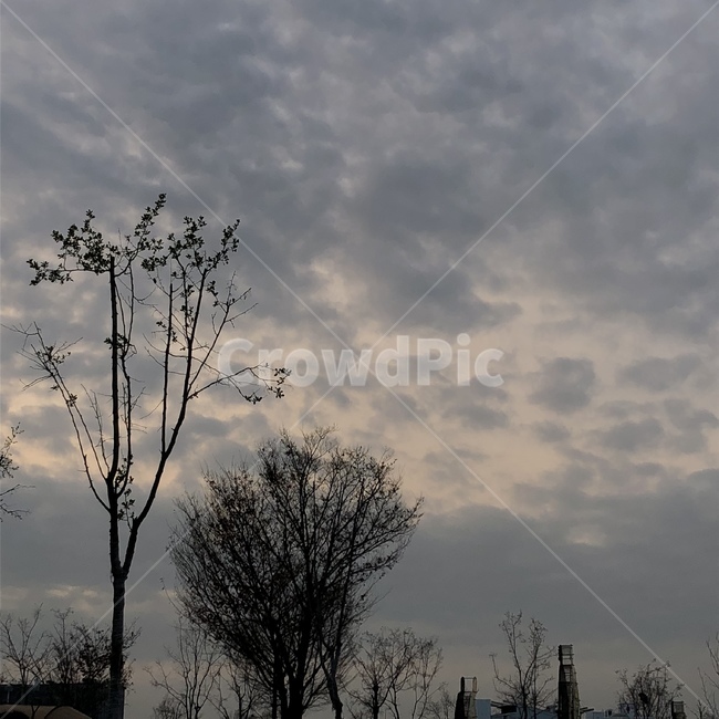 저녁하늘,한강,노을,나무,하늘,자연,풍경,nature,landscape,weather,날씨,outdoors,옥외