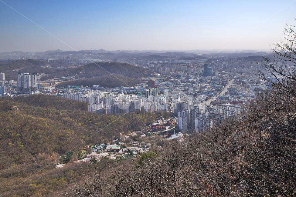 모락산,의왕시,안양시,도심풍경,경기도,도시,건물,아파트