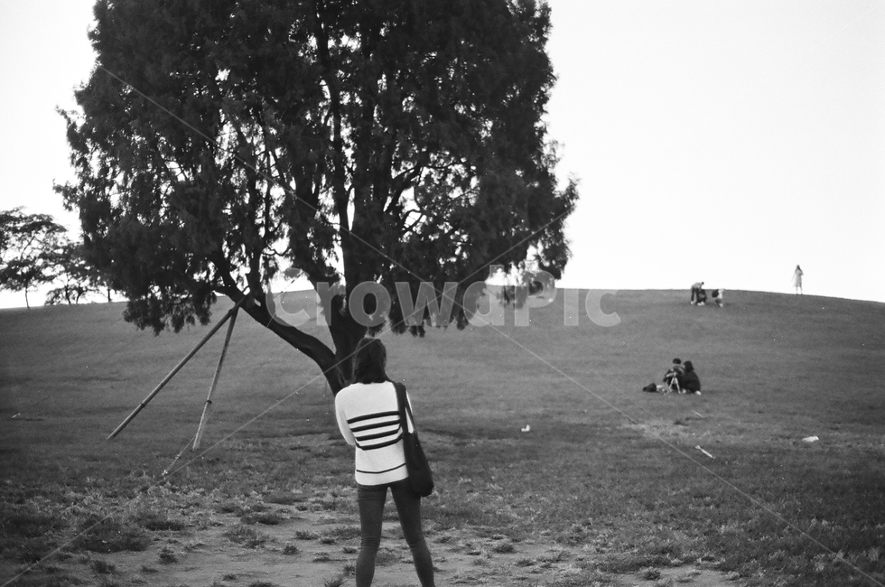 흑백,black,white,blackandwhite,film,나무,tree,올림픽공원,나홀로나무,park,뒷모습,사람,인물,인간,human,person,흑백,모노톤,monochrome,black and white