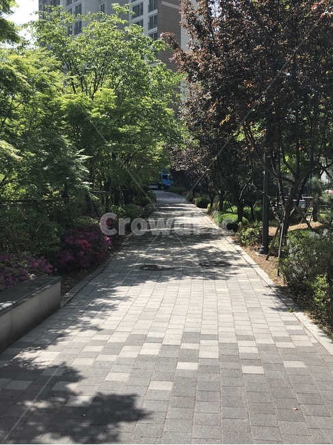 아파트,샛길,숲길,비탈길,나무사이