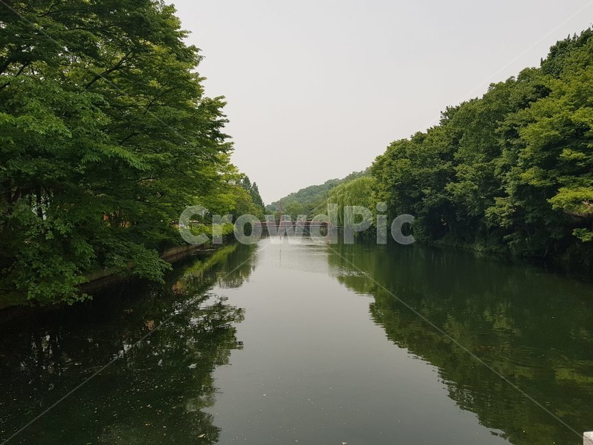 강,초록,숲,다리,하늘,자연,풍광,흐린날,풍경