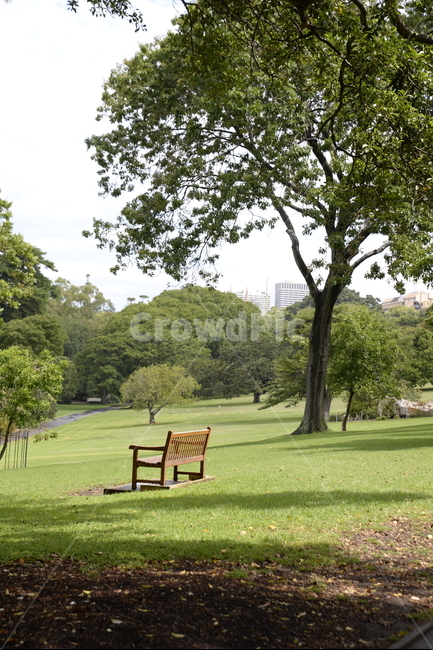 하늘,sky,cloud,구름,plant,가구,공원,outdoors,bench,식물,grass,벤치,옥외,lawn,잔디,furniture,park