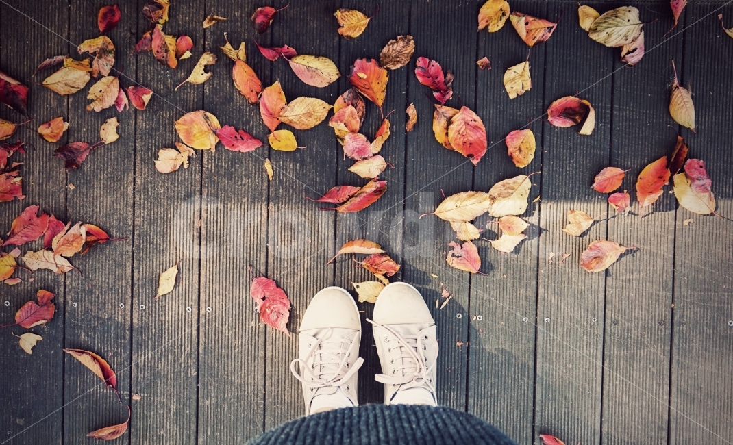 가을,낙엽,감성,일상,여행,가을,계절,fall,autumn,season,사람,인물,인간,human,person,감성,sensible,feeling,연출,컨셉,콘셉,direction,concept