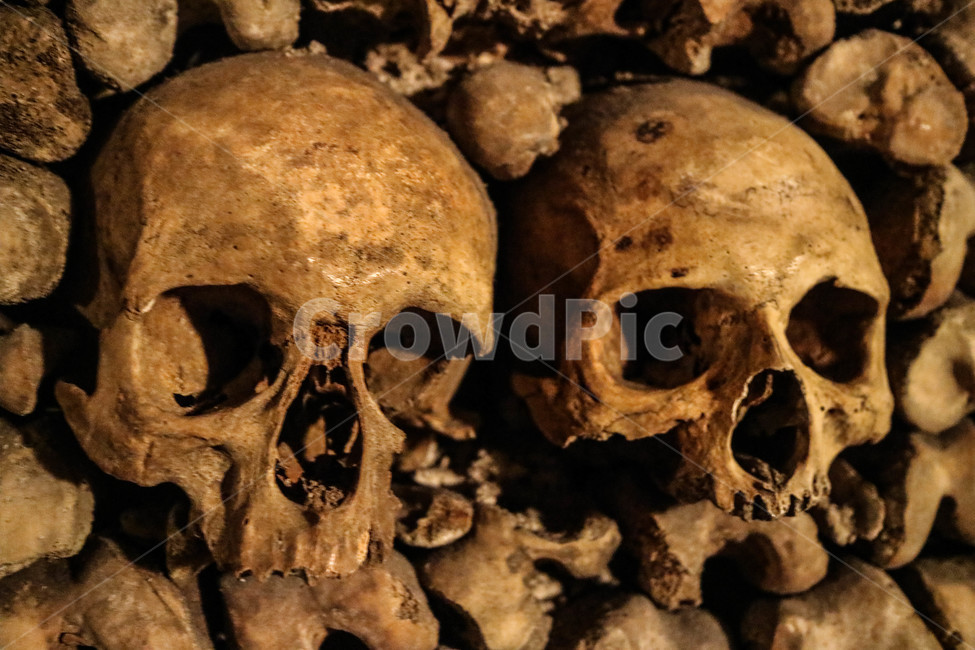 해골,카타콤,유적,지하묘지,유적지,묘지,skull,스컬,catacombs,파리,paris,공포,호러,무서운,무서움,horror,terror,fear