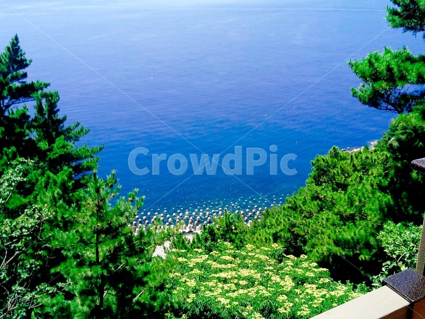 outdoors,옥외,땅,nature,해안선,water,sea,물,바다,식물,연안,나무,tree,자연,풍경