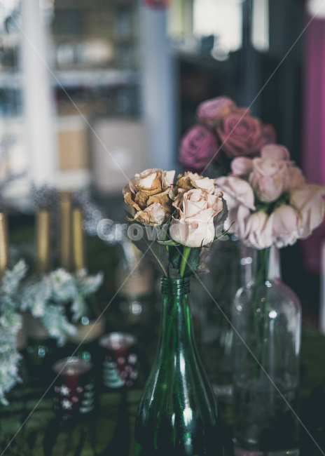 꽃,감성,화분,테이블,유리병,화초,장미,꽃,flower,실내용화초,화분,화초,house plant,감성,sensible,feeling,인테리어,실내디자인,interior design