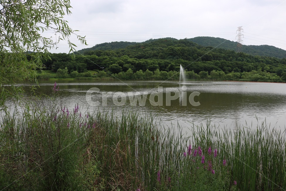 호수,산,하늘,자연,꽃,식물,lake,mountain,sky,nature,flower,plants,mizuumi,yama,sora,hana,shokubutsu,물,water,mizu,분수,자연,풍경,nature,landscape,한국자연풍경,한국자연경관,korea nature landscape,outdoors,옥외