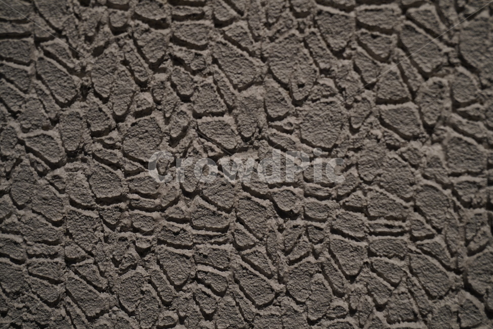 texture,조직,시멘트,cement,architecture,건축,배경,background
