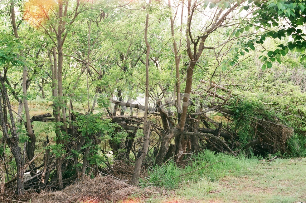경산,남매지,공원,park,gyengsan,흙길,산책로