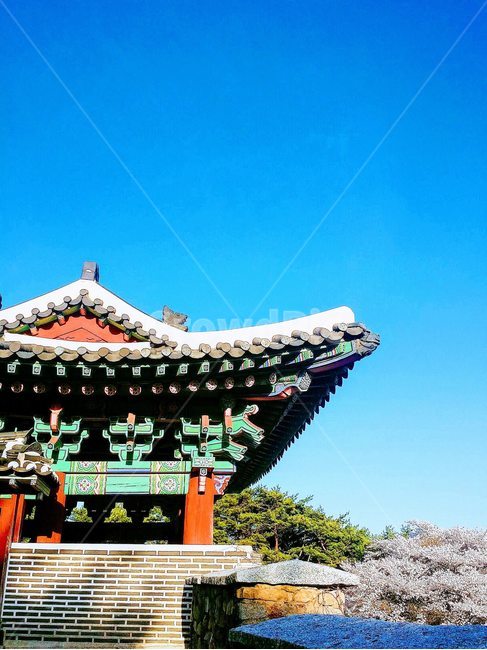 한옥,민속촌,상당산성,전통,기와