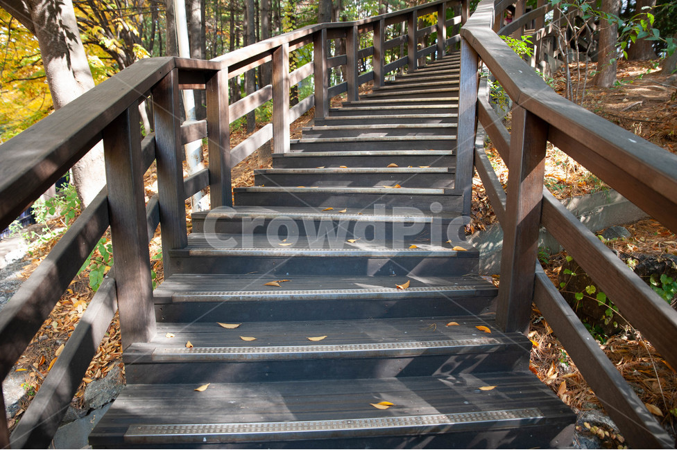 숲,길,나무,우든,계단,산,가을,잎,단풍,빛,해,가을,계절,fall,autumn,season,handrail,난간,banister,railing,staircase