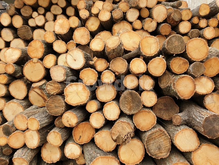 장작,참나무,연료,패턴,가지치기,부산물,사님,목재,나무,trees,wood