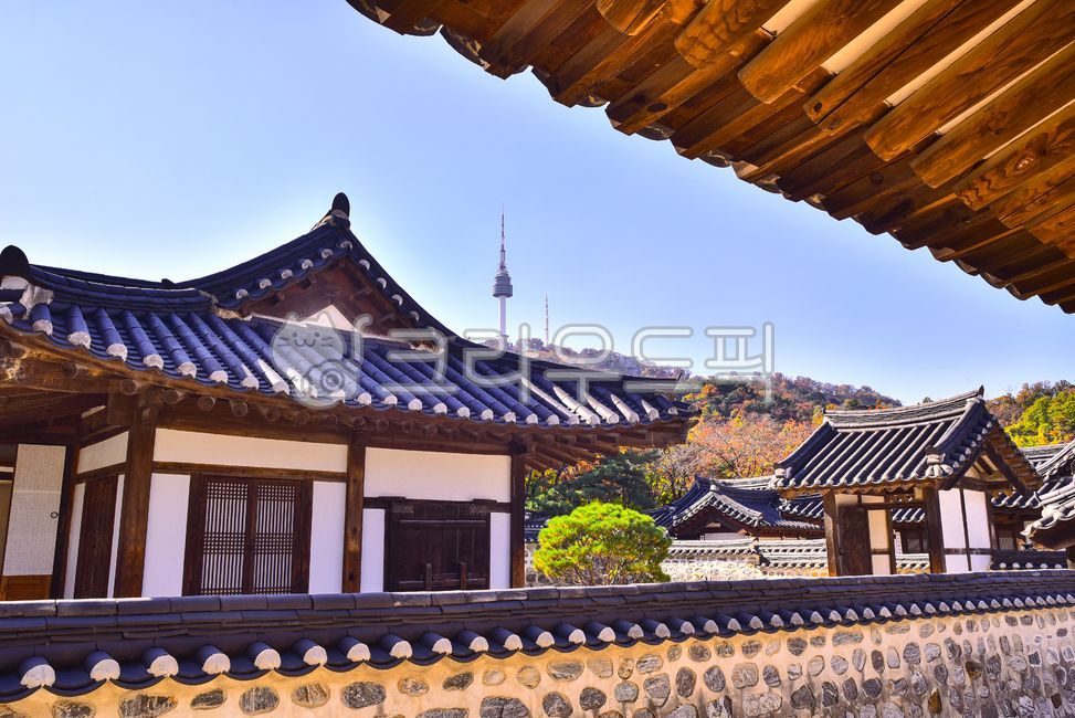 남산골한옥마을,한옥마을,문화유산,한국전통,남산,남산타워,가을배경,시즌,계절,백그라운드,단풍숲,타워,칼라풀,색감,옥외,자연,숲,가을산,autumn,tower,namsantour,house,건물,집,architecture,건축물,지붕,housing,주택,탑,돌담