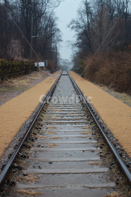철길,철도,철로,교통수단,기찻길,선로,철강,railroad,기차길,원근,원근감,레일,항동철길,감성사진,가을,쓸쓸함,곧게뻗은
