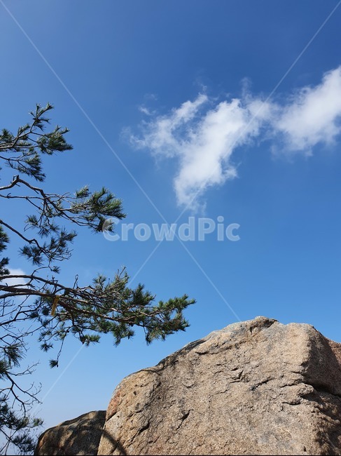 소나무,바위,구름,풍경,자연,plant,식물,tree,나무,돌,암벽,하늘,푸른하늘,야외,화왕산,자연,풍경,nature,landscape,grassland,목초지,field,들,outdoors,옥외