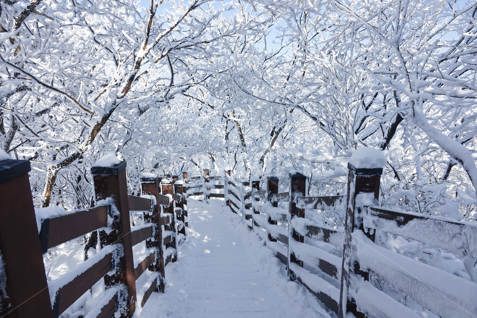 겨울,눈,설경,자연,눈꽃,snow,모악산,완주군,구이면,겨울,계절,winter,season