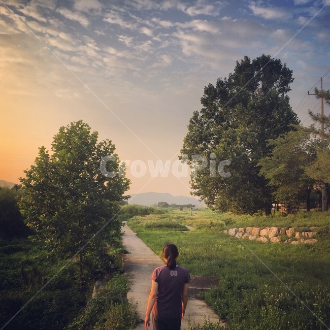 감성,여자,뒷모습,자연,풍경,산책,저녁노을,여름산책,나무,풀,잔디,자연,풍경,nature,landscape