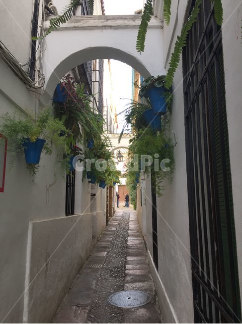 스페인,코르도바,작은꽃길,유대인지구,골목길,화분,골목,골목길,alley,flagstone,판석,corridor,복도