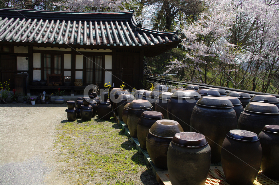 전통가옥,한옥,한국,건축,기와지붕,전통,한국전통,한국문화,korean traditional,korean culture,건축물,건물외관,exterior,building,structure,architecture,construction