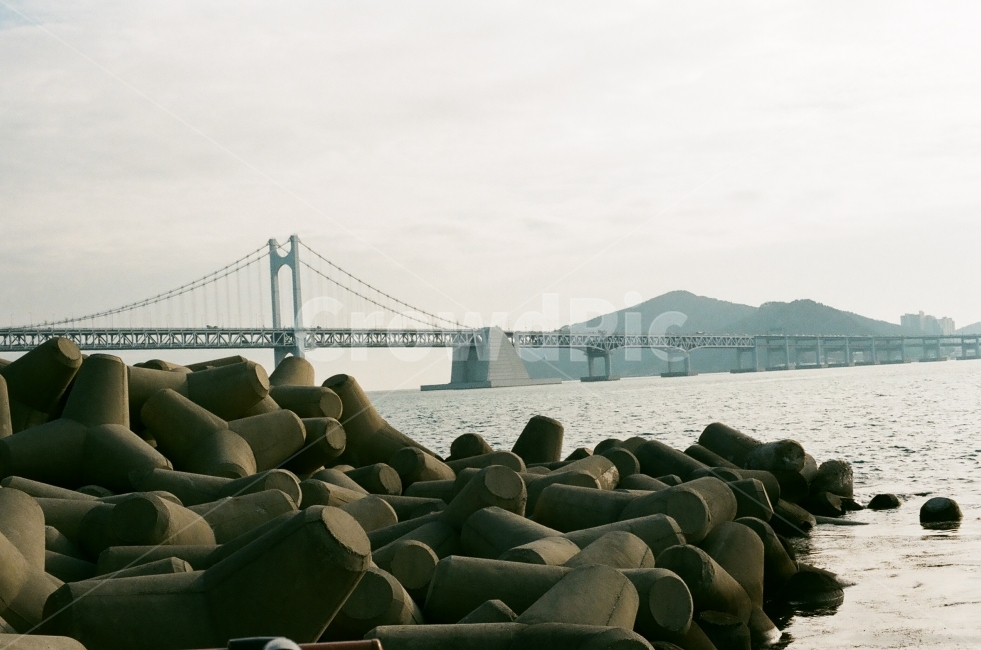 필카,감성,풍경,다리,도시,바다,도시풍경,필름카메라,방파제,자연,풍경,nature,landscape,한국자연풍경,한국자연경관,korea nature landscape