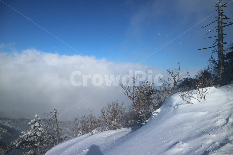 눈,설경,설산,지리산,겨울산,등산,자연,풍경,겨울,계절,winter,season