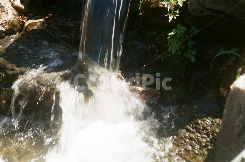 자연,시내,도랑,물,시골,들꽃,여름,stream,water,waterfall,nature,자연,풍경,nature,landscape,river,강,outdoors,옥외,폭포