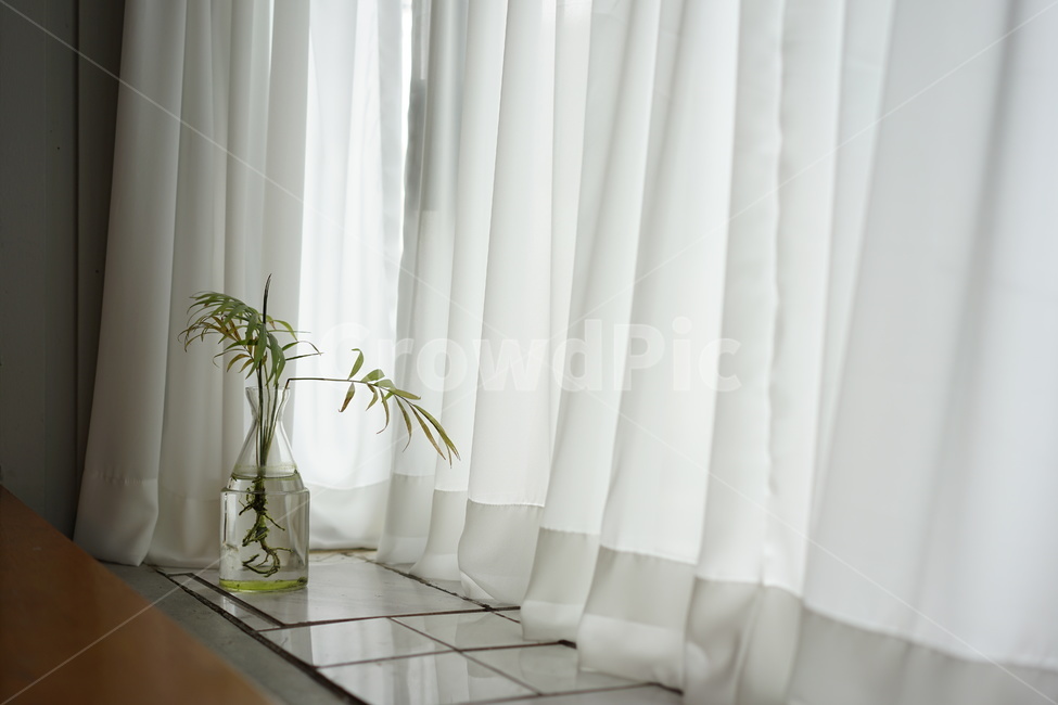 창가자리,창가,창문,화분,창가화분,흰커튼,흰커텐,식물,자연,plants,nature,실내용화초,화분,화초,house plant,인테리어,실내디자인,interior design