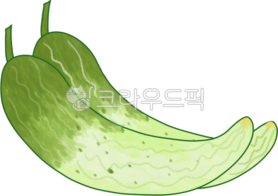 Cucumber,vegetable,cucumber illustration,cucumber drawing,summer vegetable