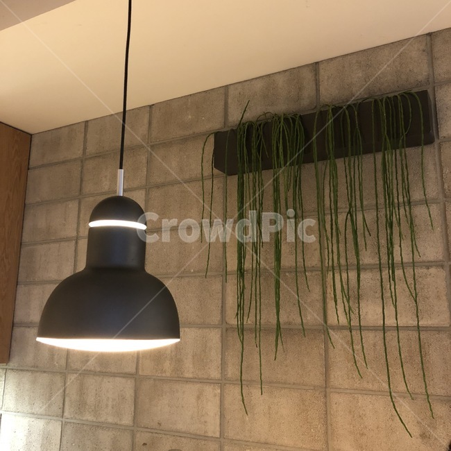 lamp,램프,plant,식물,인테리어,인테리어,실내디자인,interior design