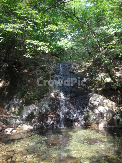 계곡,산속,숲속,자연,바위,여름,계절,summer,season,자연,풍경,nature,landscape,water,물,outdoors,옥외,river,강