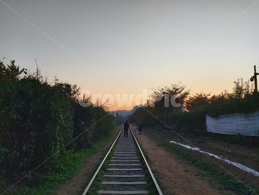 기차,traintrack,기찻길,rail,레일,교통,철도,railway,transportation