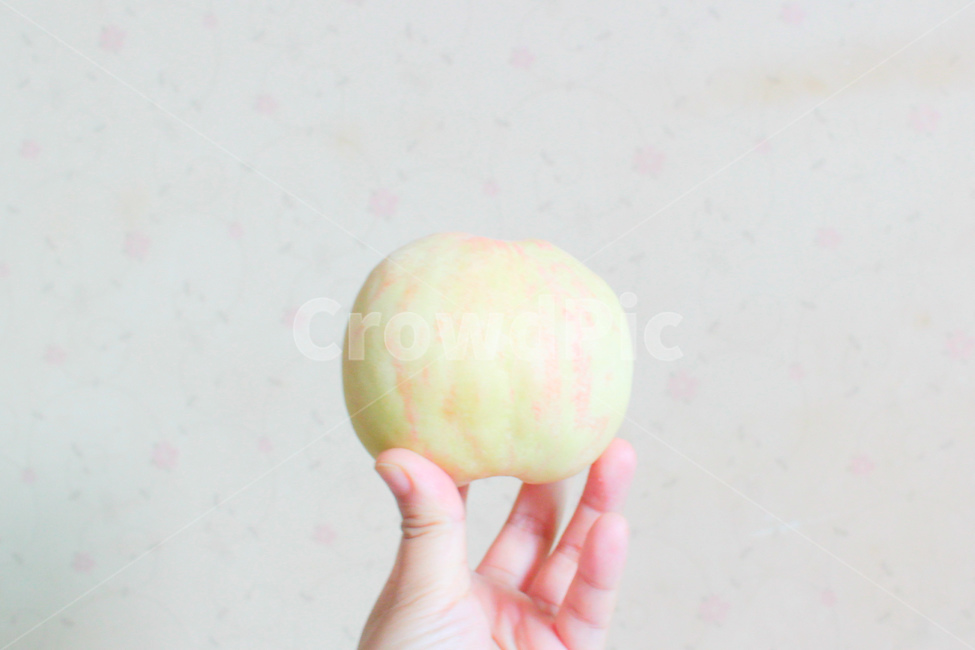 자연,감성사진,과일,복숭아,음식,요리,색감,pink,peach,분홍,연노랑,손,hand,음식,식재료,요리,food,cook,meal,dishes,food reserves,과일,열매,fruit