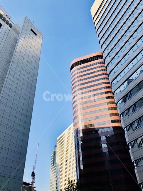 서울,오후,건물,햇빛,하늘,도시,풍경,city,landscape,한국도시풍경,한국도시경관,korea cityscape,건축물,건물외관,exterior,building,structure,architecture,construction,office building,사무실 건물