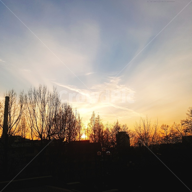 노을,겨울,가을,해질녘,나뭇가지,자연,풍경,nature,landscape,outdoors,옥외,sky,하늘,dusk,황혼,sunset,일몰,dawn,새벽,red sky,붉은 하늘,sunlight,햇빛