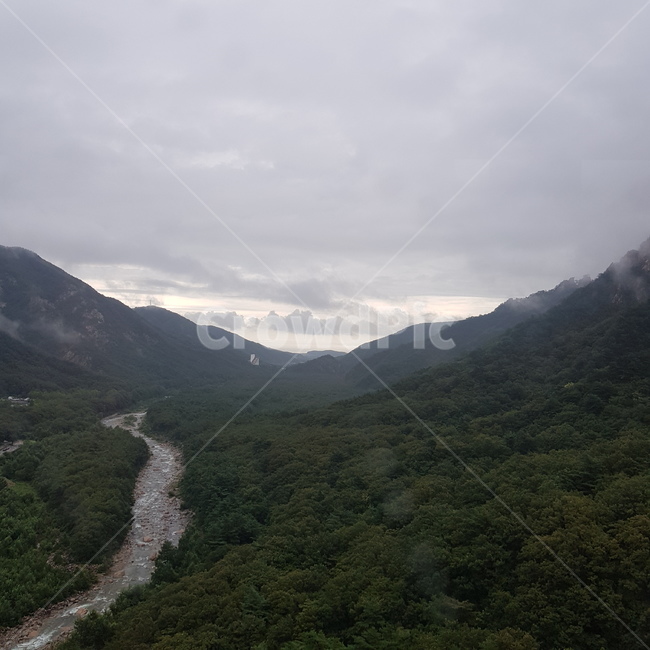 강,산,안개,물줄기,물,자연,풍경,nature,landscape,slope,경사,outdoors,옥외,mountain