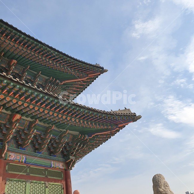 경복궁,전통,한국전통,기와,광화문,traditional,koreantraditionalbuilding,koreatraditionalarchitecture,gyeongbokgungpalace