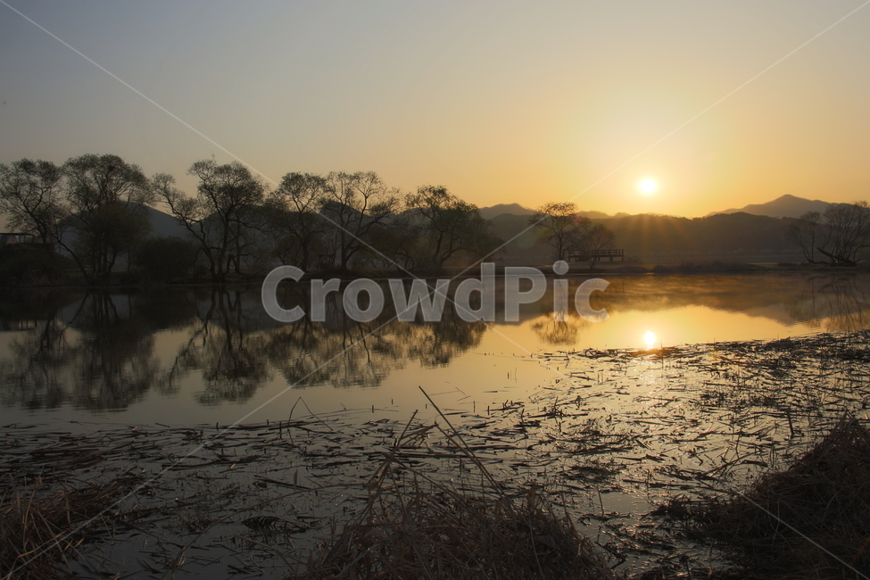 반경,일출,공원,자연,풍경,자연,풍경,nature,landscape,outdoors,옥외,land,땅