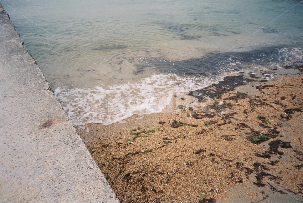 바다,해변,파도,일본바다,파도거품