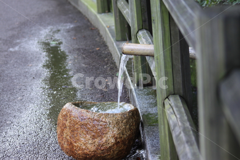 산책로,water,물,길,도로,물길