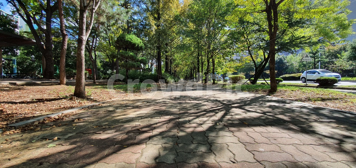 식물,길,잔디,grass,tree,나무,옥외,outdoors,path