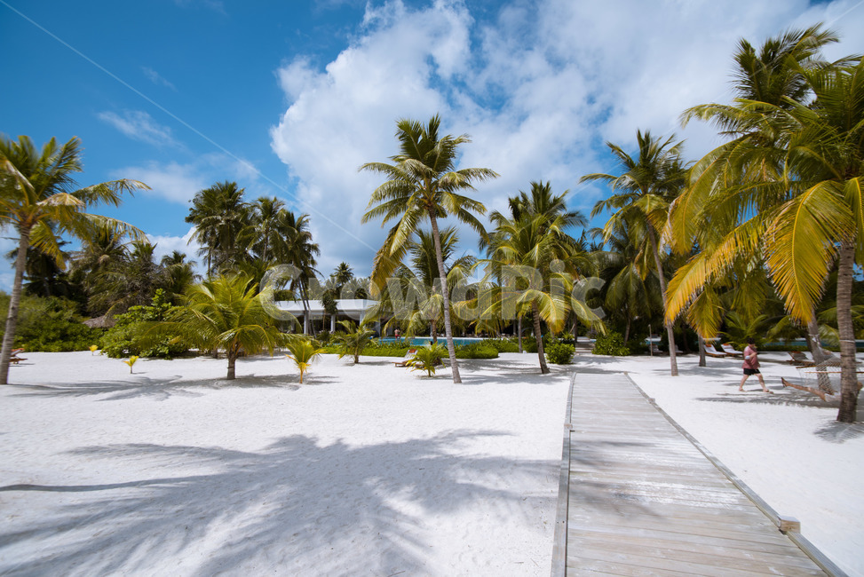몰디브,maldives,바다,풍경,sea,하늘,자연,풍경,nature,landscape,해변,바다,beach,sea,해외,외국,세계,foreign,oversea,world,세계자연풍경,해외자연풍경,외국자연풍경,world nature landscape,summer,여름