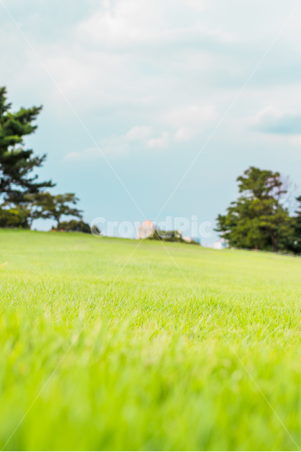 언덕,들판,잔디,풍경,초록,연두,hill,fields,grass,landscape,green,파스텔톤,pasteltone,slope,경사,여름,summer,seasonal,계절,자연,풍경,nature,landscape,plant,식물,field,들