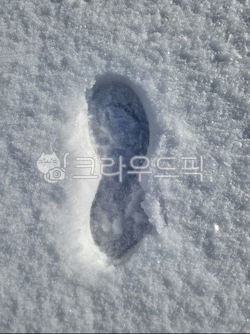 winter,겨울,눈자국,발자욱,겨울풍경,풍경,footprint,발자국,눈풍경,겨울눈,무채색감성,무채색