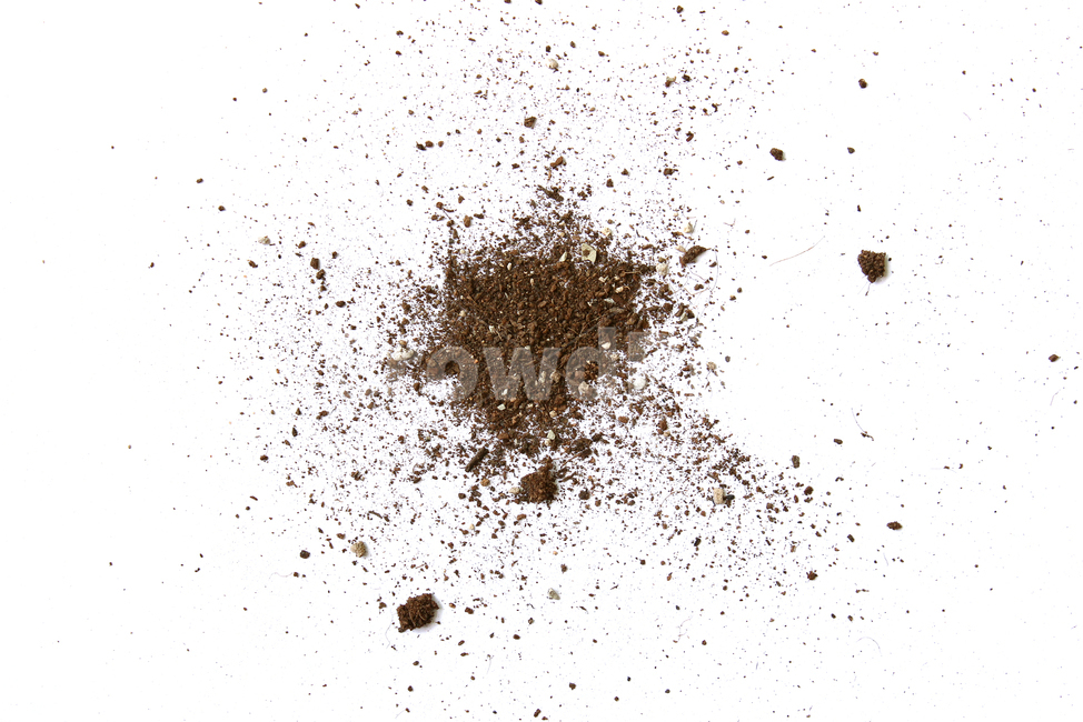 흙,모래,soil,sand,soiltexture,탑앵글,흰배경,누끼,가루,흙가루,모래가루,갈색,브라운,텍스춰,건조한,black,botany,brown,closeup,compost,dark,dirt,dirty,dry,dust,grain,heap,humus,ingredient,macro,mineral,nobody,object,organic,path,powder,splash,spray,texture,topview,toxic,뿌린,누끼,remove background