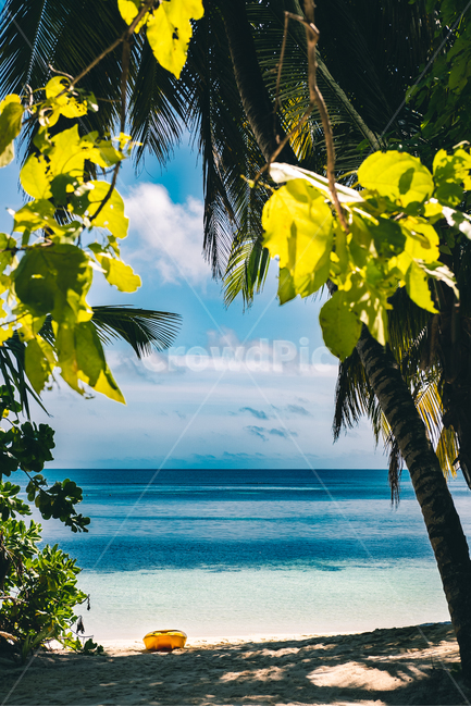 야자수,해변,에메랄드빛,휴가,셰이셀,seychelles,자연,풍경,nature,landscape,해외,외국,세계,foreign,oversea,world,세계자연풍경,해외자연풍경,외국자연풍경,world nature landscape,summer,여름