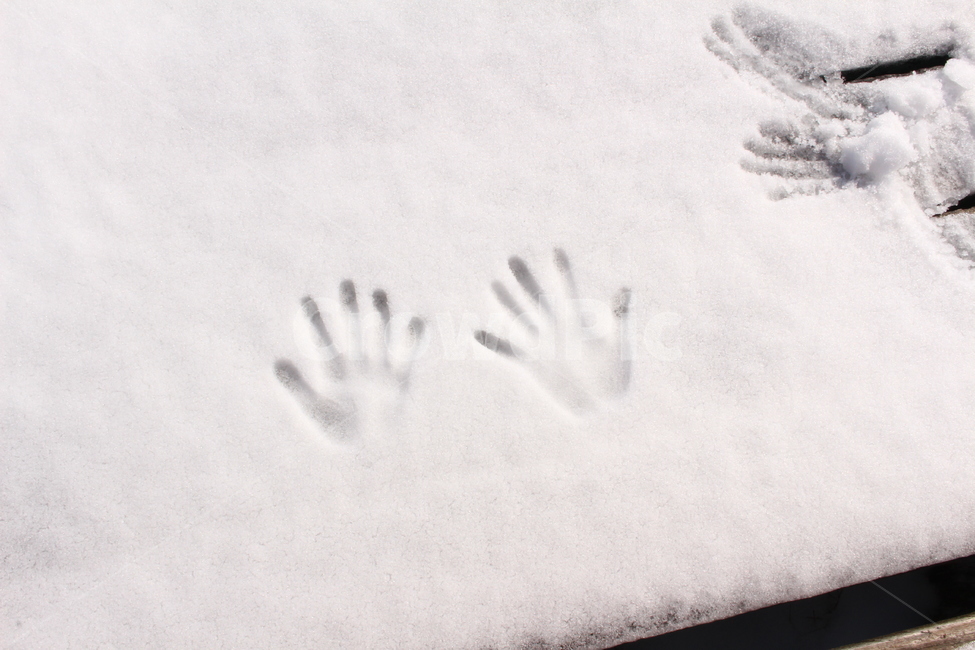 눈,손바닥,자국,겨울,snow,겨울,계절,winter,season