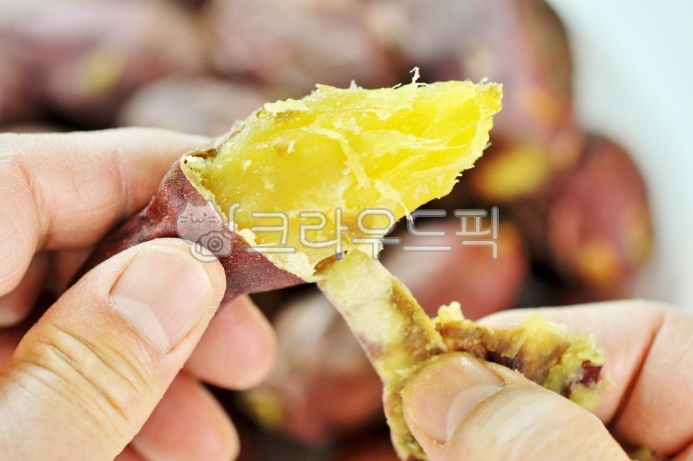 고구마,군고구마,구운고구마,음식,식품,먹거리,간식,식재료,건강식,뿌리,농작물,food,사람,손