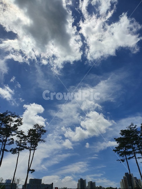 자연,구름,푸른하늘,날씨,하늘,sky,weather,자연,풍경,nature,landscape