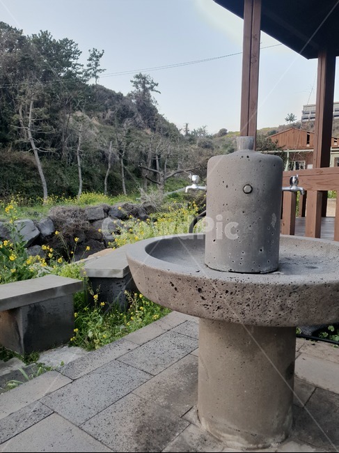 수도꼭지,물,식수대,유채꽃,풍경,올레길
